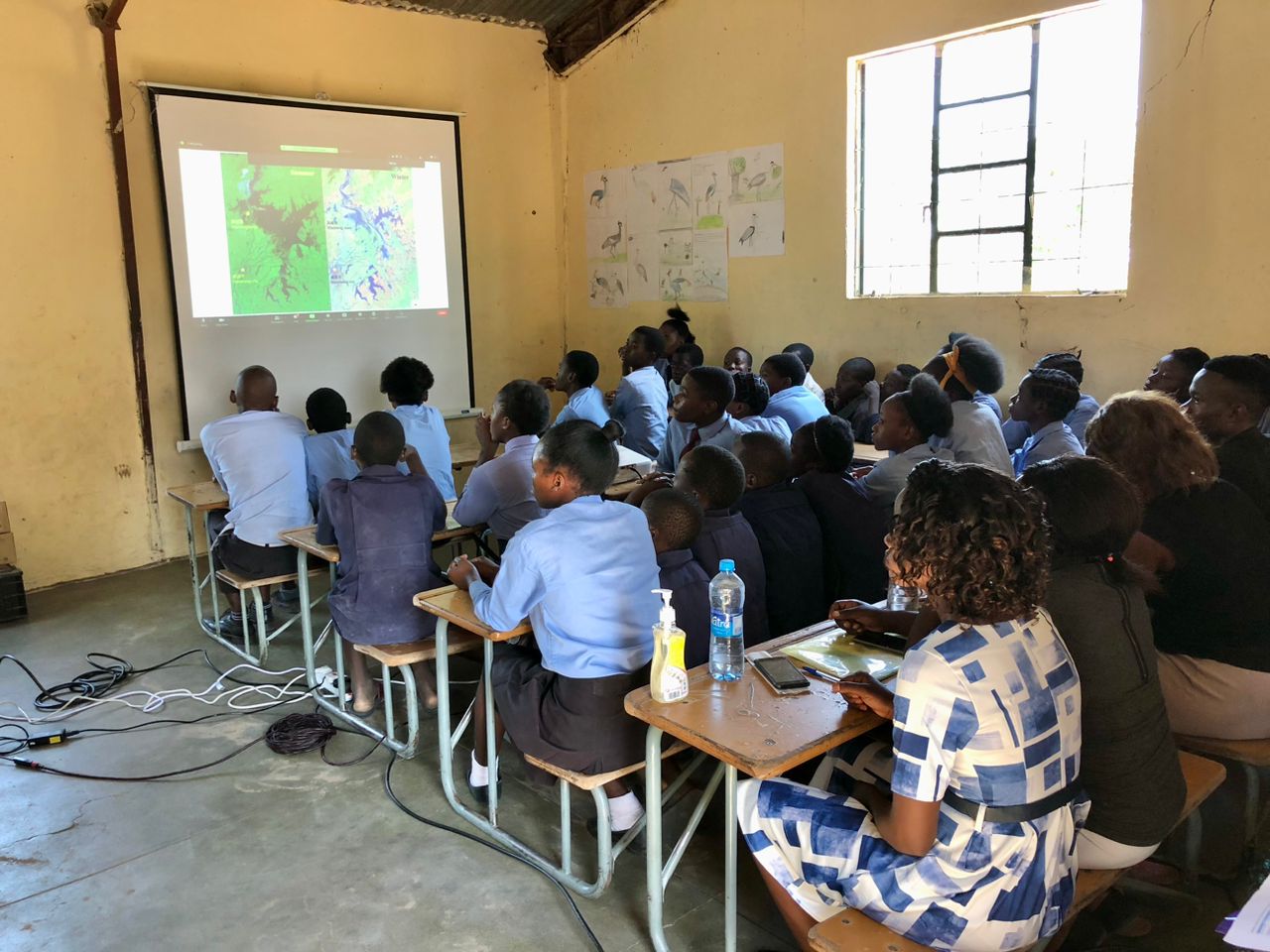 Read more about the article Bridging Borders With Technology: Livestreaming the China-Zambia Crane Exchange for Environmental Education in Lochinvar National Park